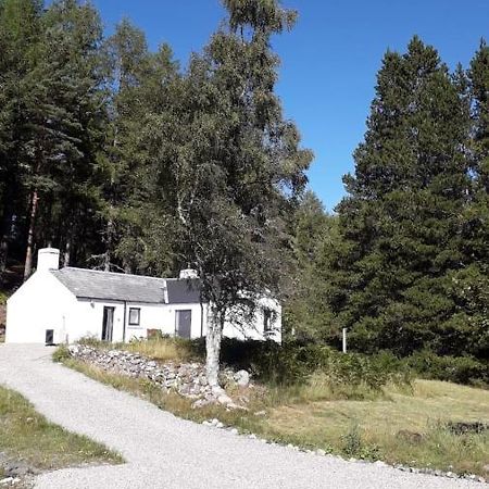 Torgoyle Cottage Inverness Eksteriør billede